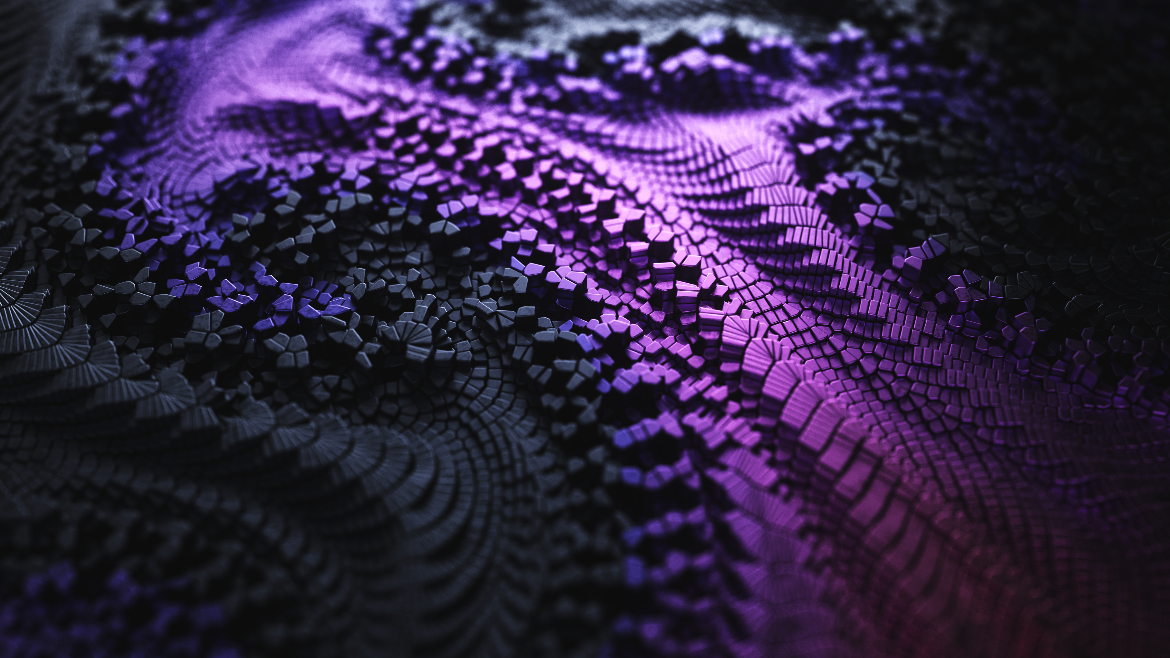 Macro Surface
