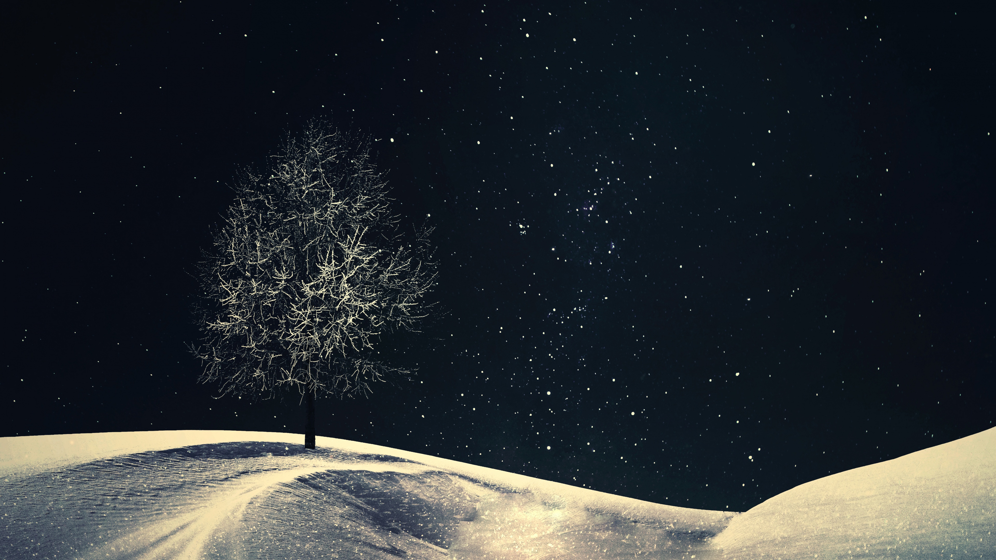 Lone tree Crescent Moon