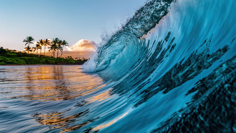 Ocean Waves Palm trees