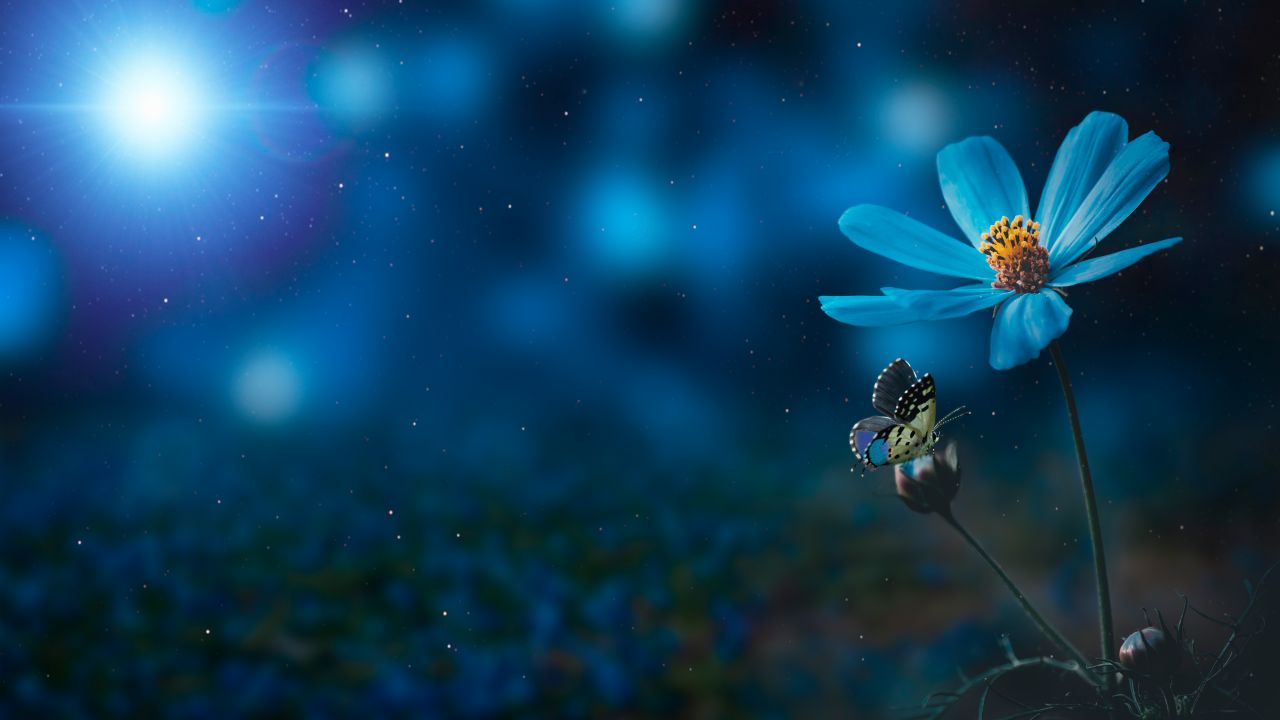 Blue flower Pollination