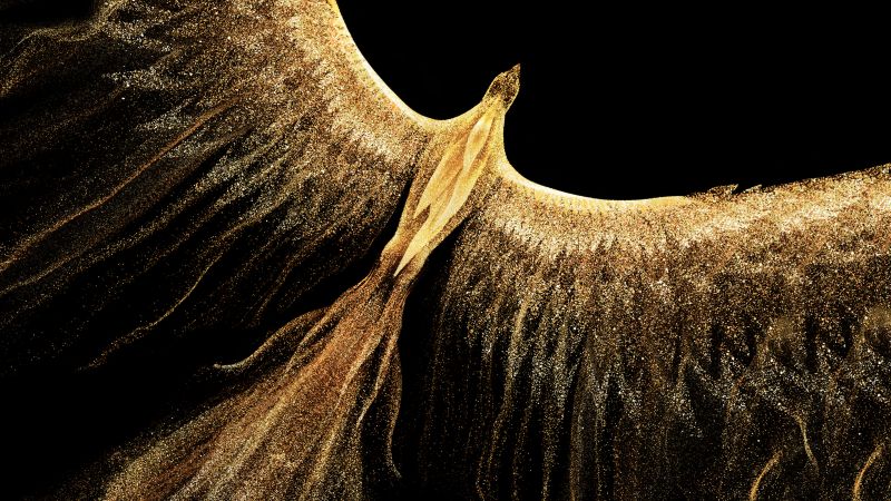 Golden Phoenix Fire bird