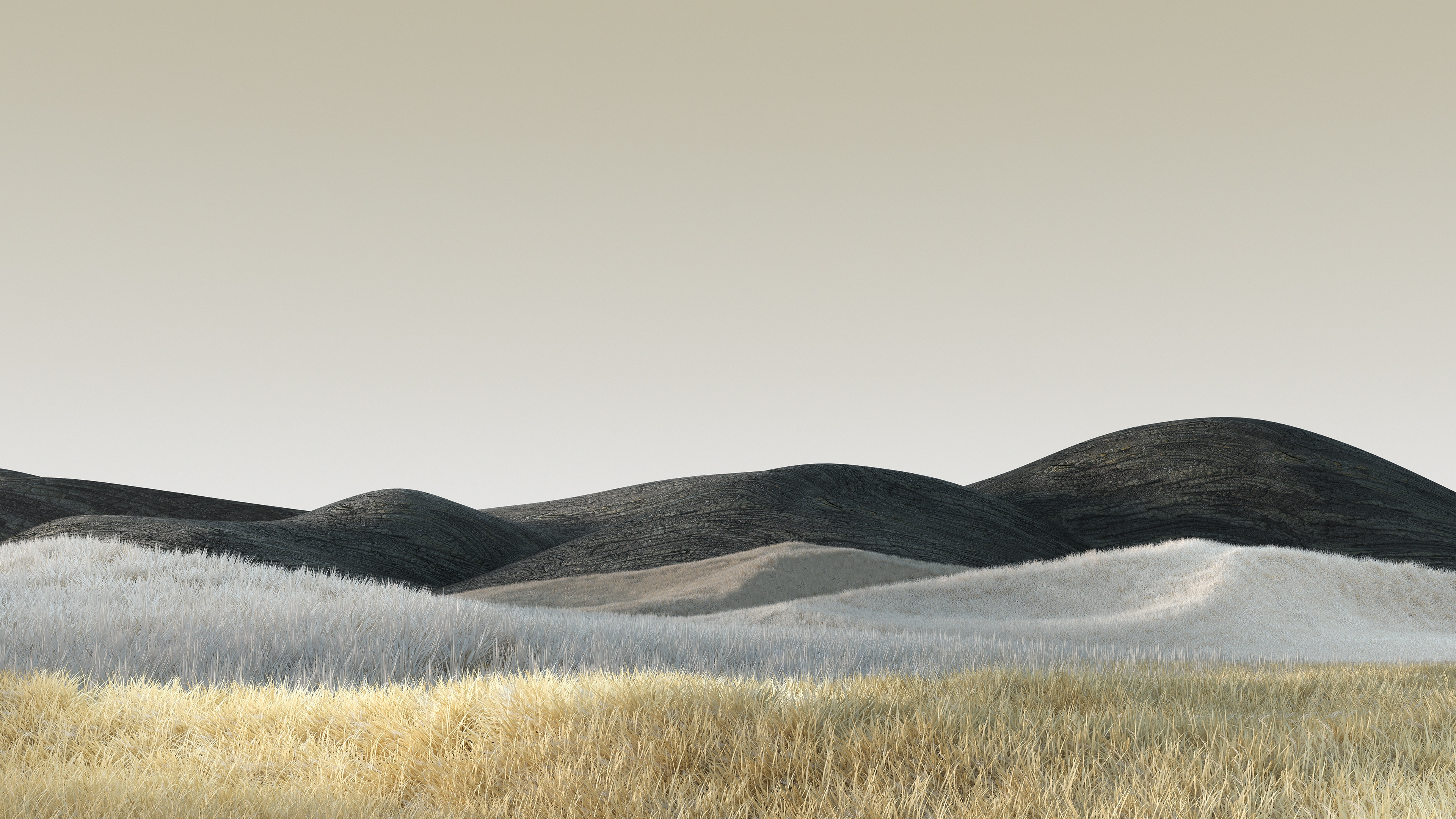 Landscape Summer