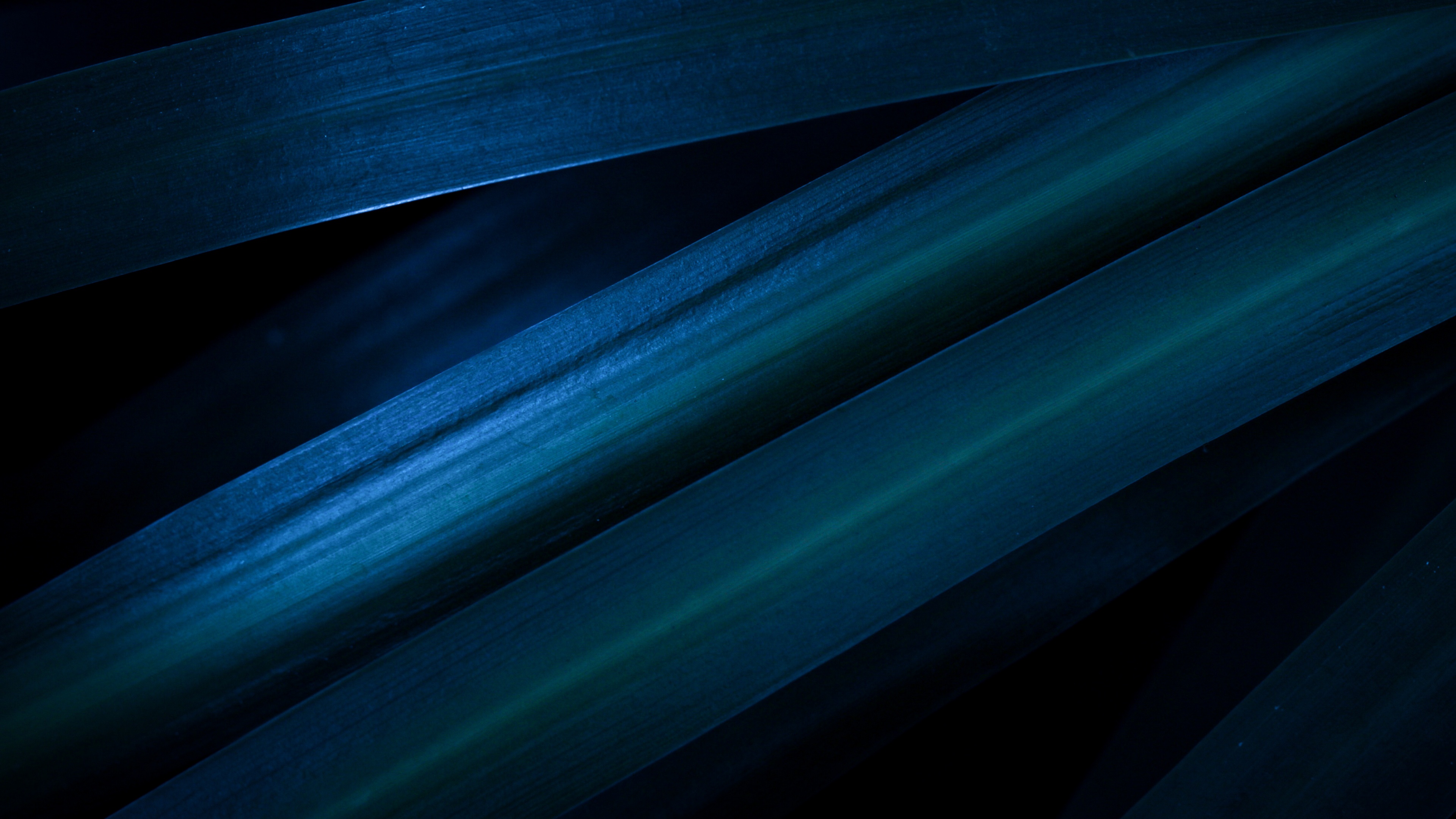 Leaves Blue aesthetic