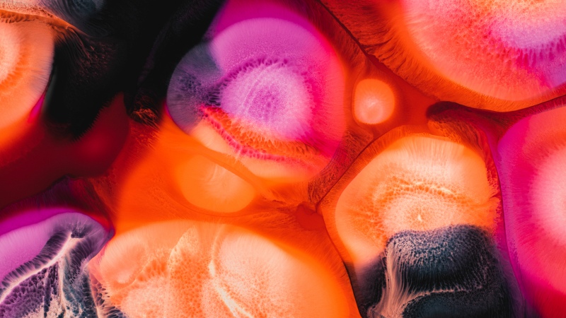 Vibrant Fluid art