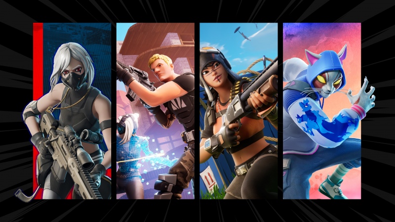 Fortnite Battle Royale Video Game