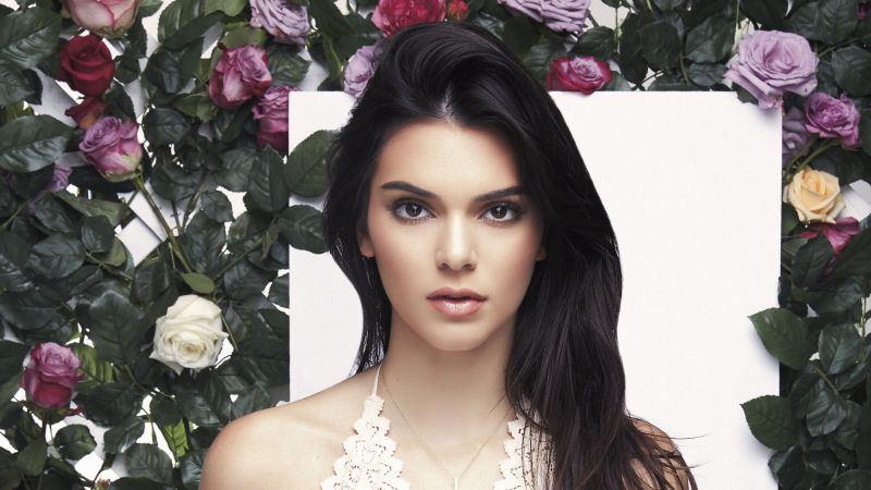 Kendall Jenner Aesthetic