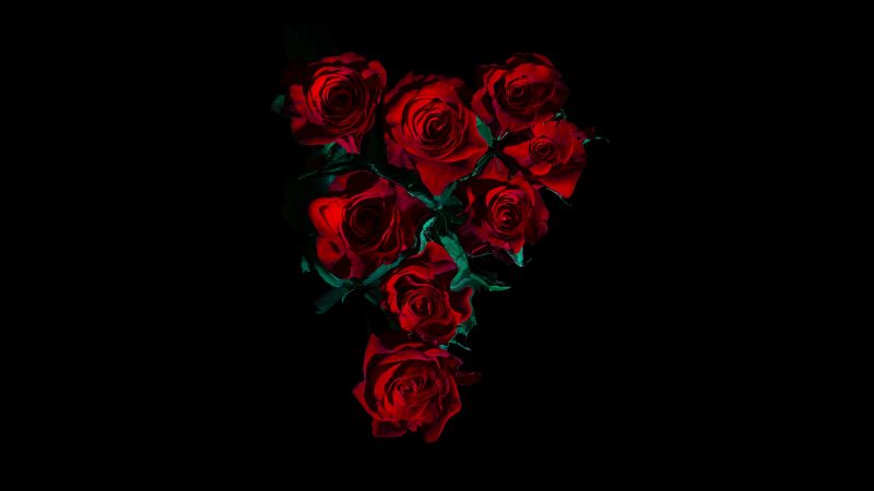 Red Roses Flower bouquet