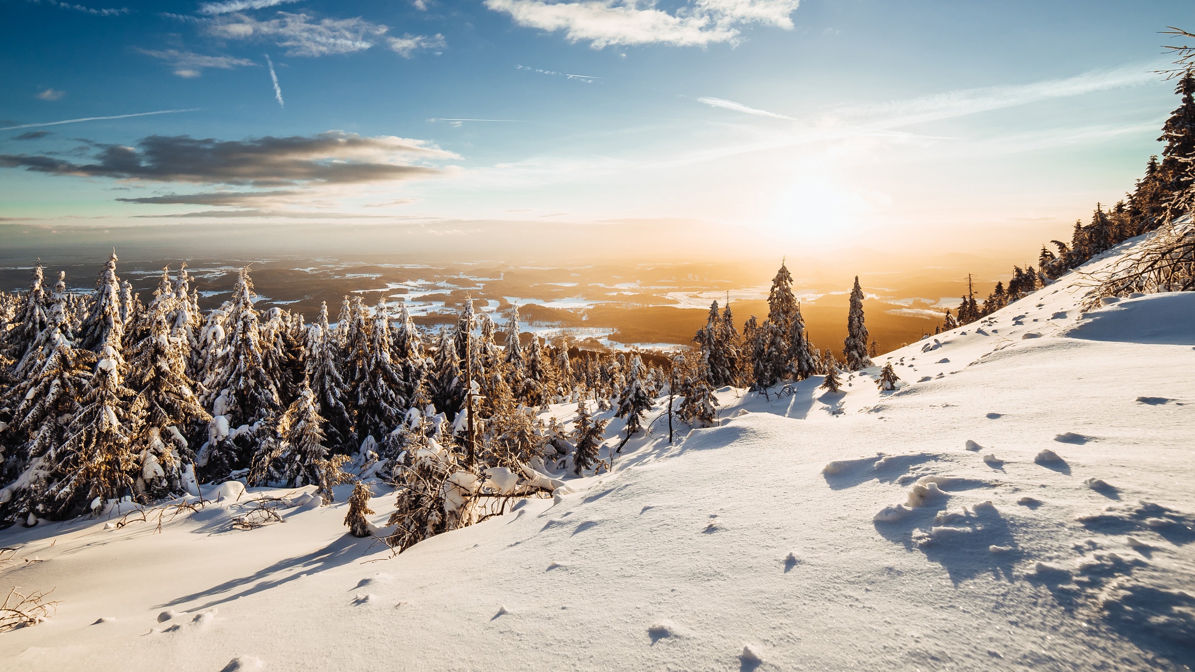 Winter Landscape