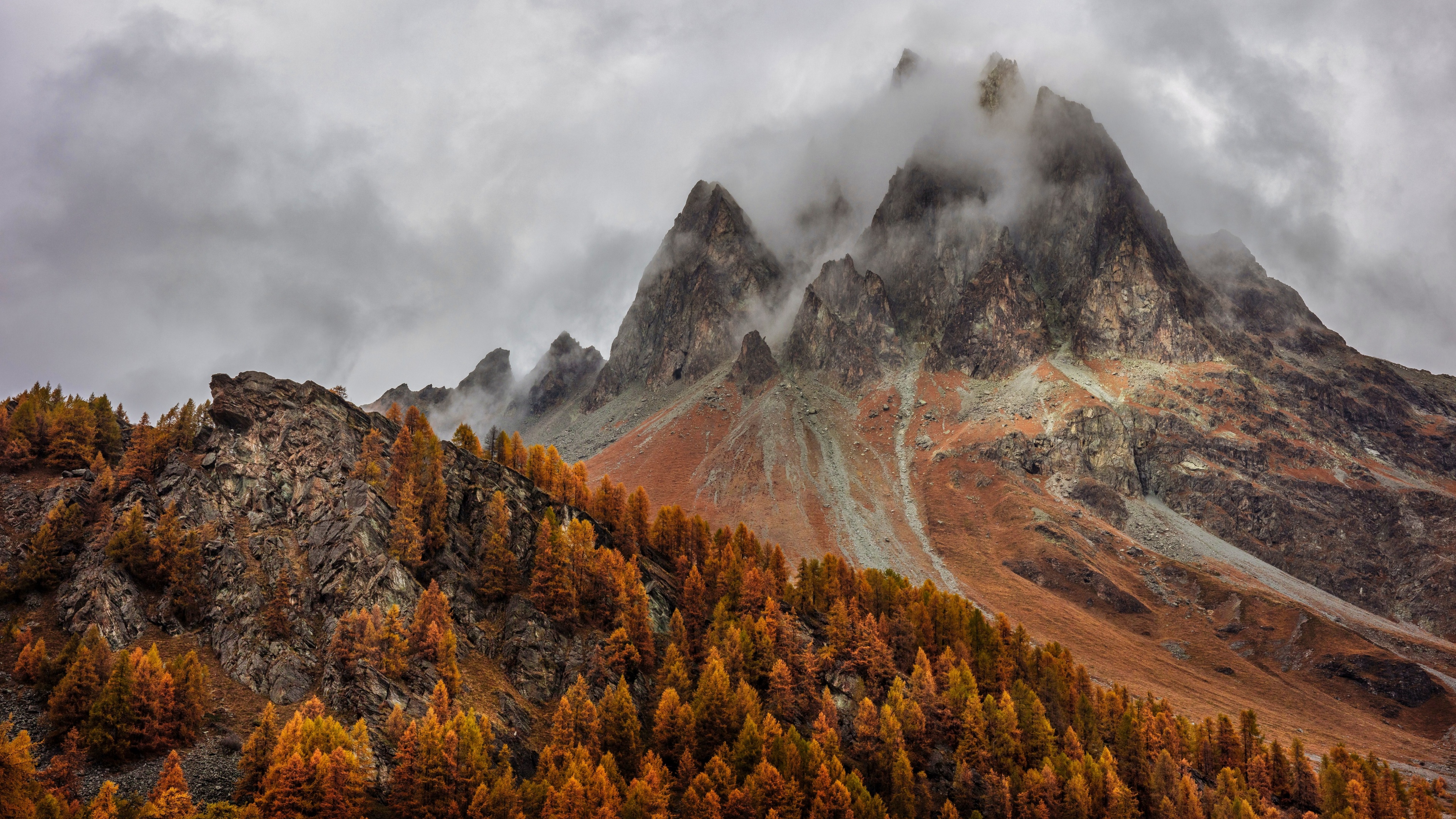 Mountains Forest