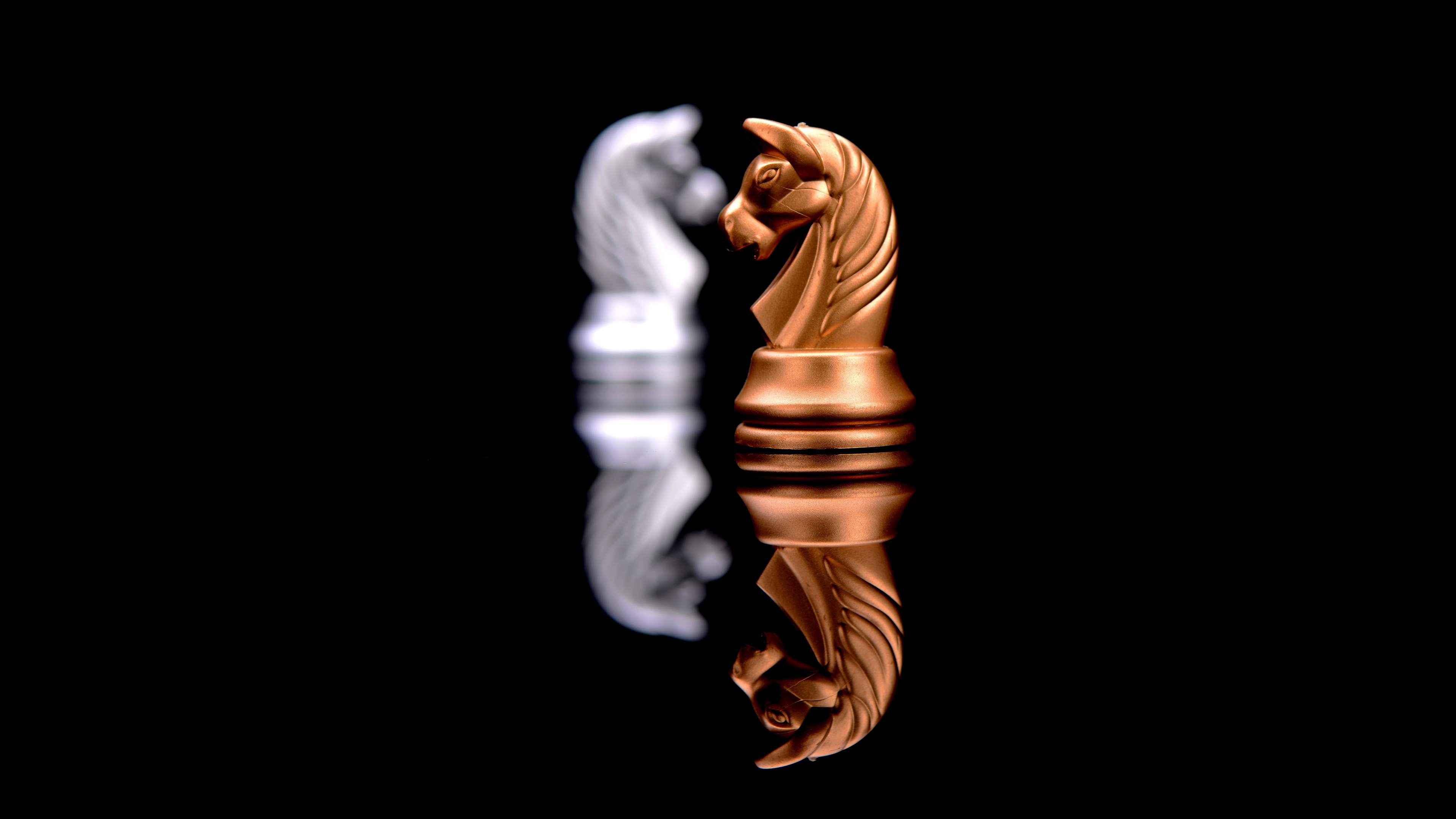 Knight (Chess) Black background