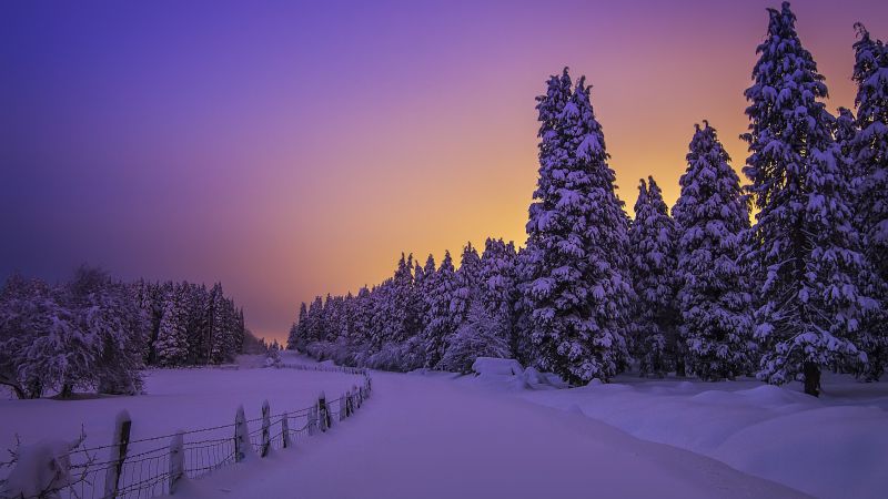 Landscape Purple sky