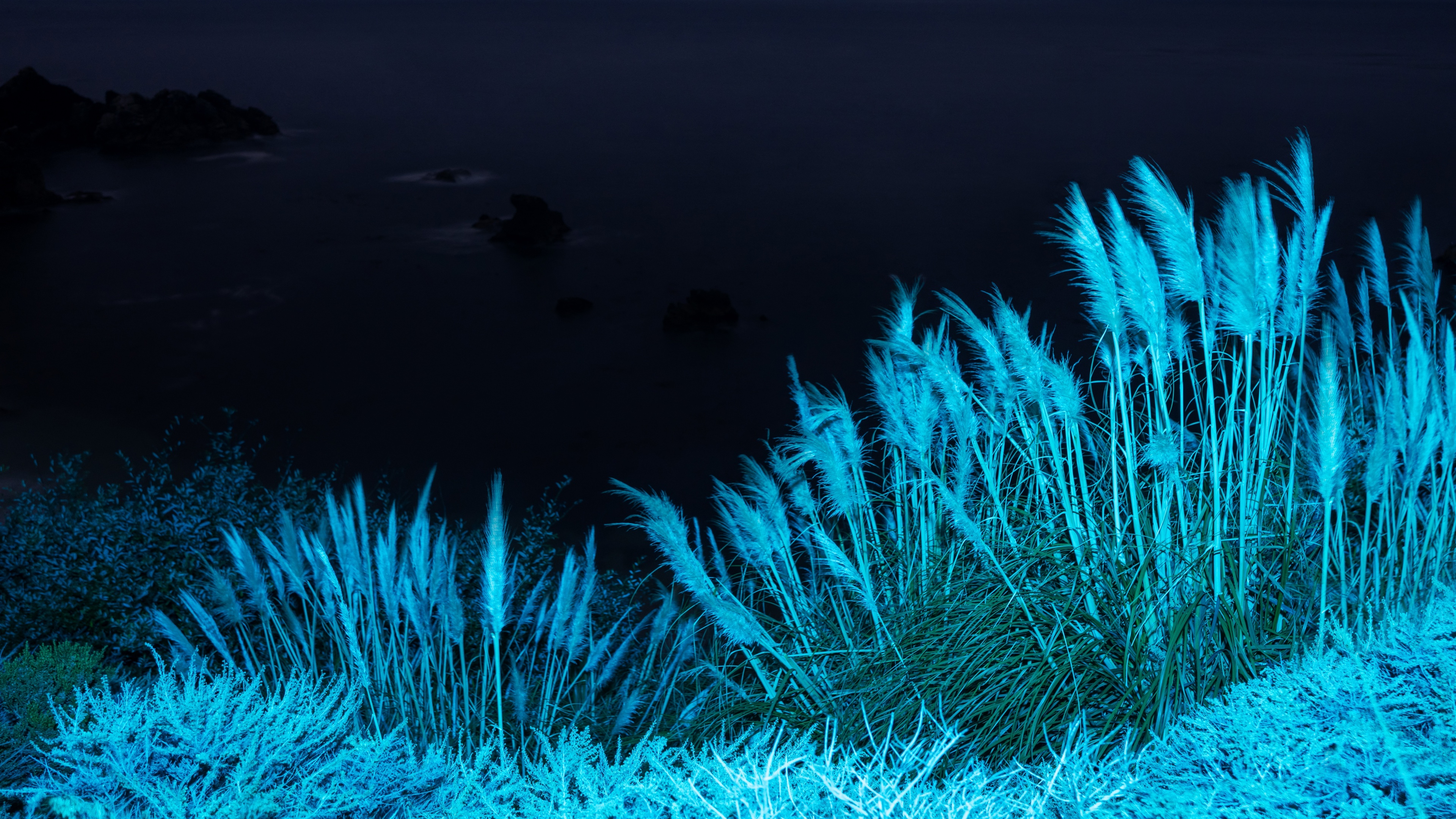 macOS Big Sur Infrared