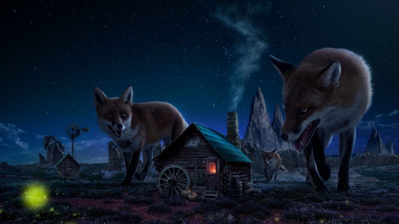 Witch House Fox