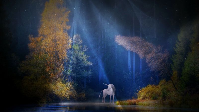 Unicorn Fairy tale