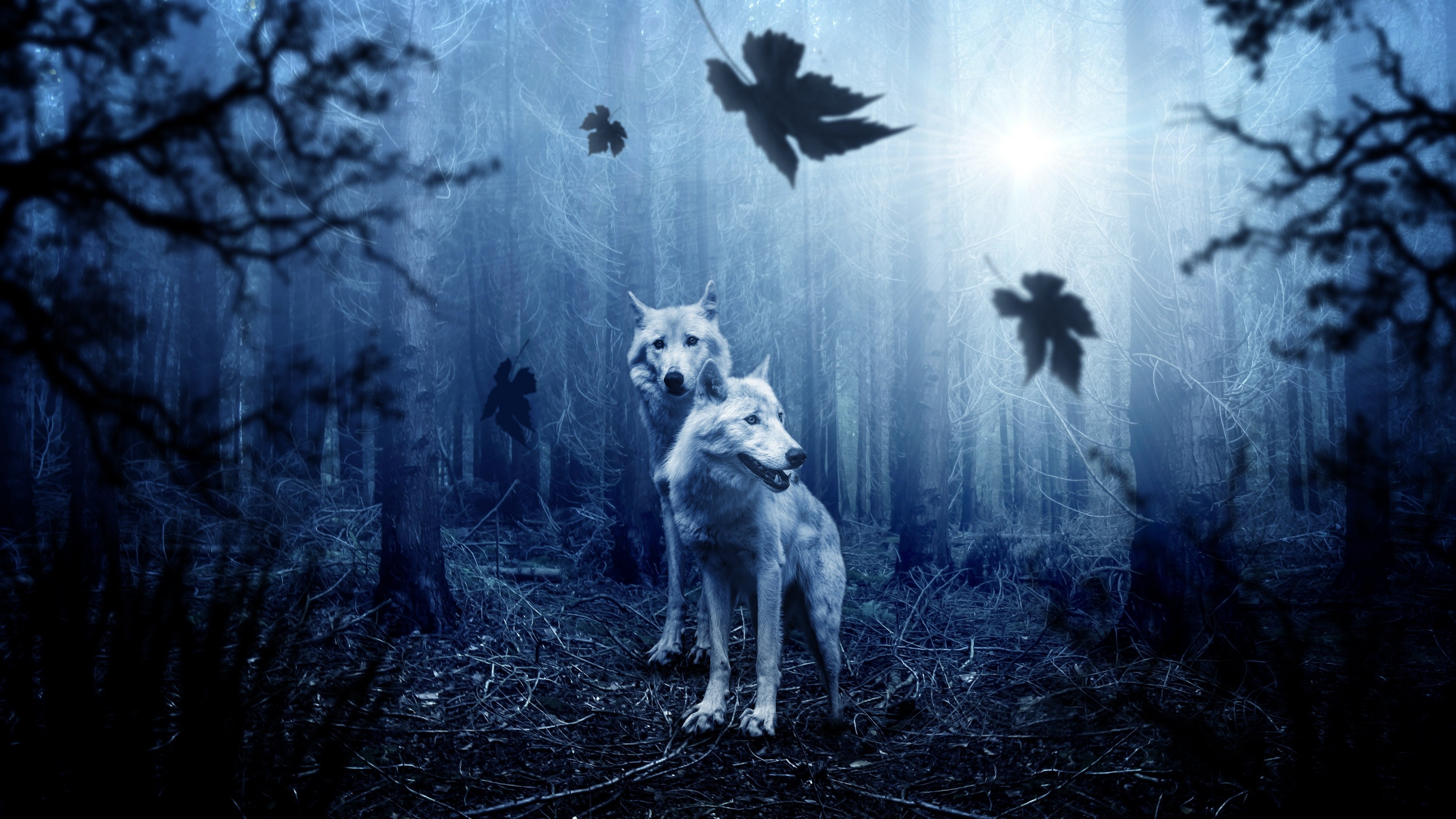 Wolf Forest