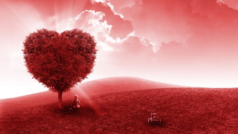 Landscape Heart tree