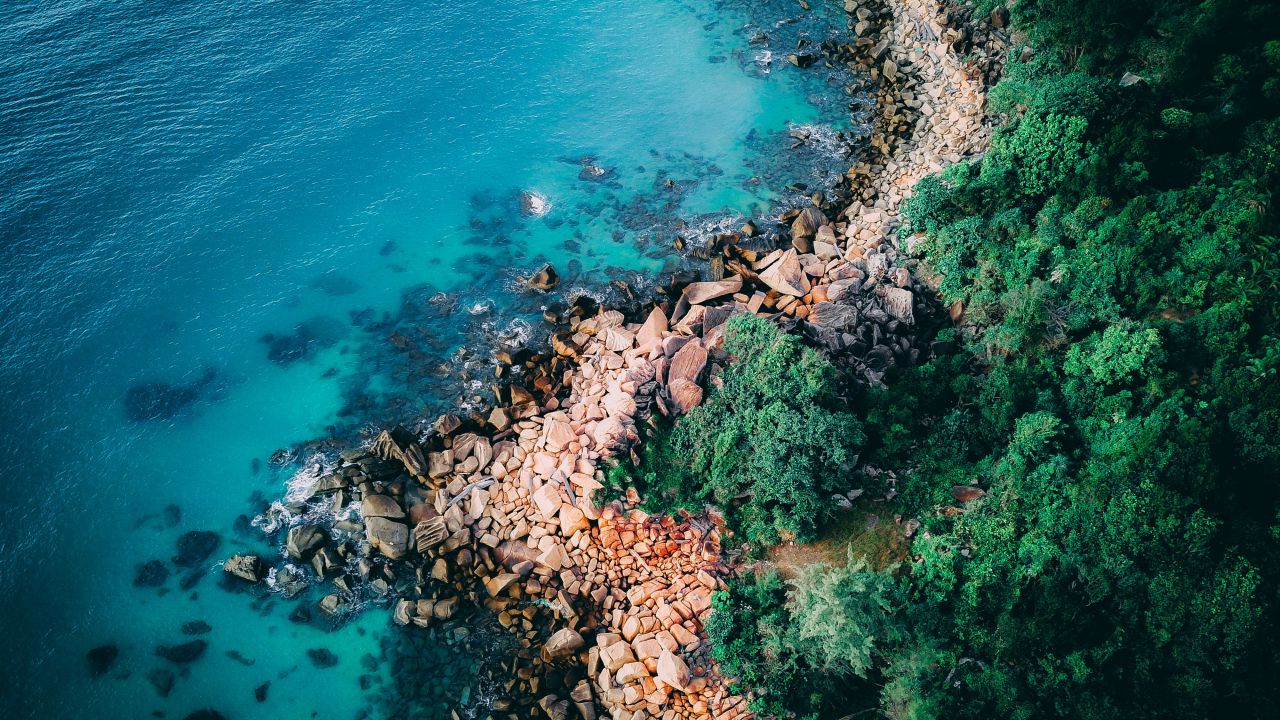 Seashore Coastline