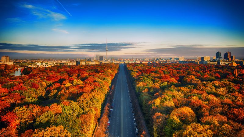 Autumn trees Berlin City Skyline