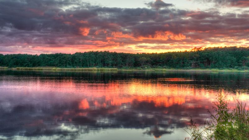 Huntington Beach State Park North Carolina