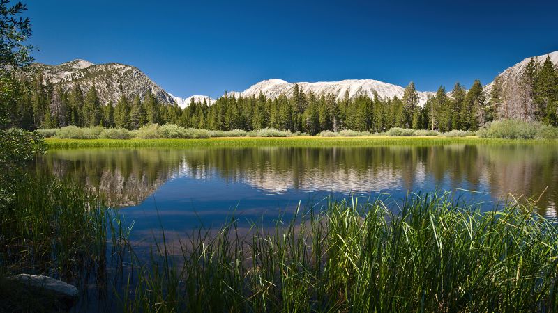 Lake Scenery