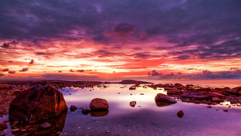 Seashore Rocky coast